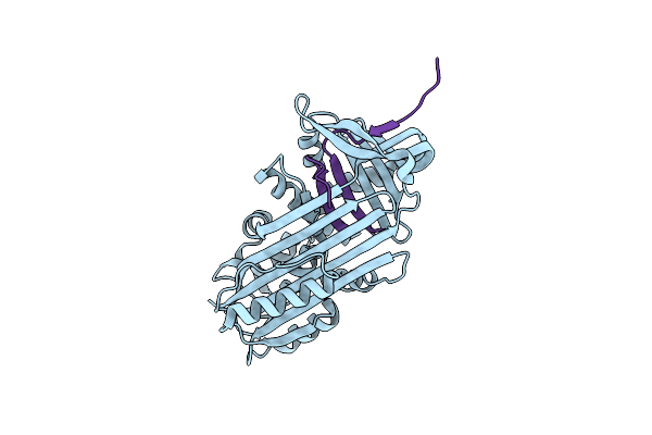 6HGD image