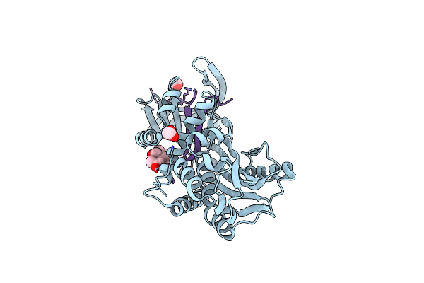 6HGF image