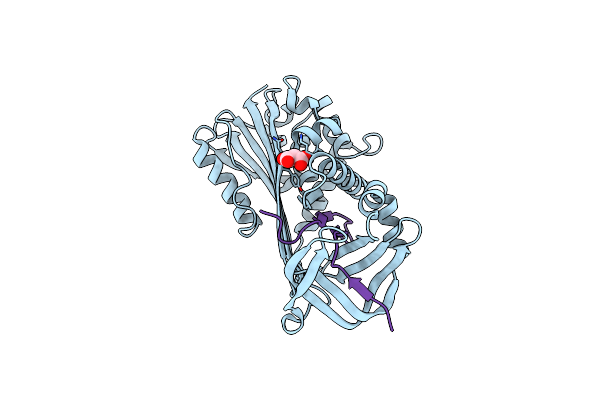 6HGH image