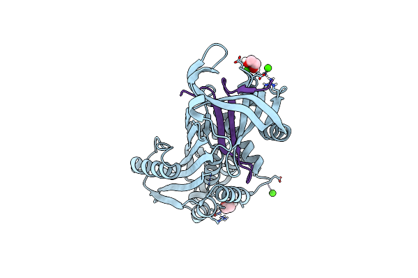 6HGM image