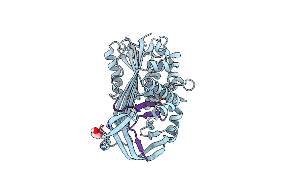 6HGN image