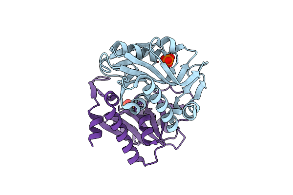 6HGP image
