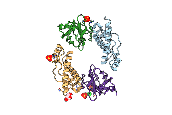 6HHD image