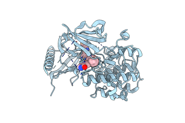 6HHF image