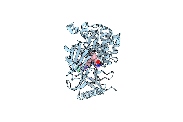6HHG image
