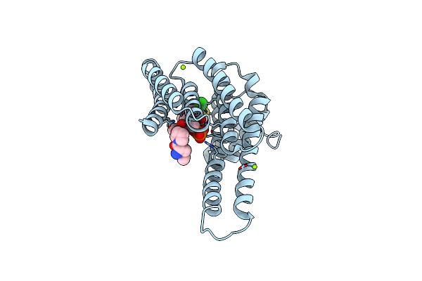 6HHP image