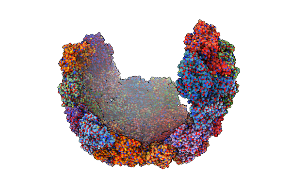 6HHT image