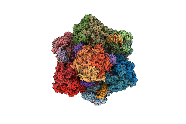 6HIF image