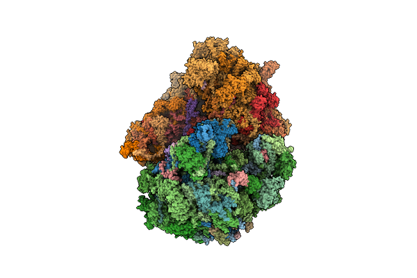 6HIV image