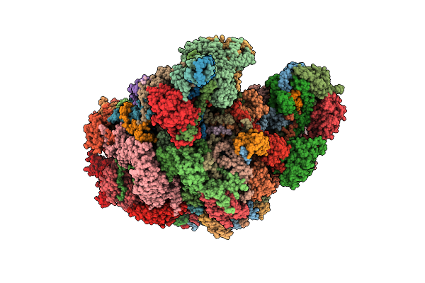 6HIX image