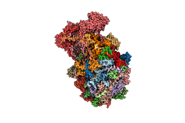 6HIZ image
