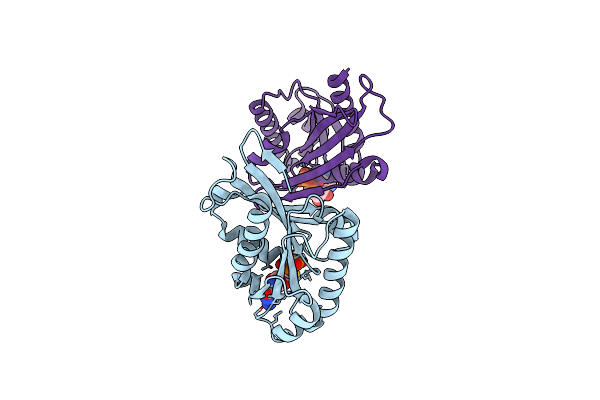 6HJO image