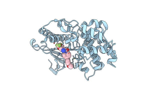 6HKN image