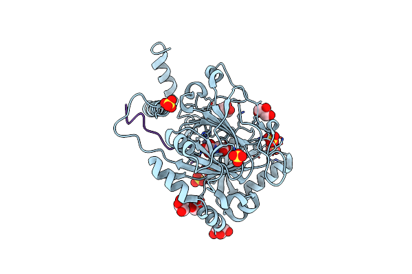 6HKP image