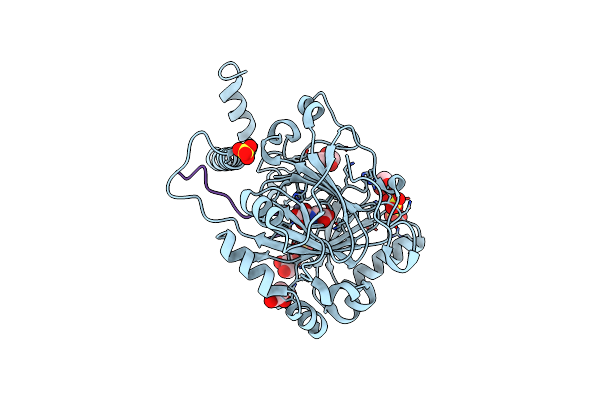 6HL5 image