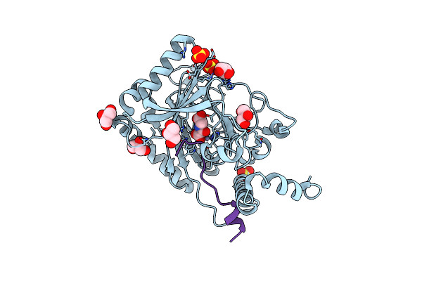 6HL6 image