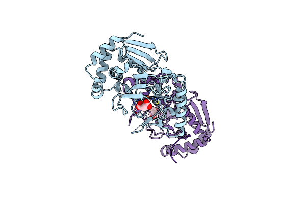 6HL8 image