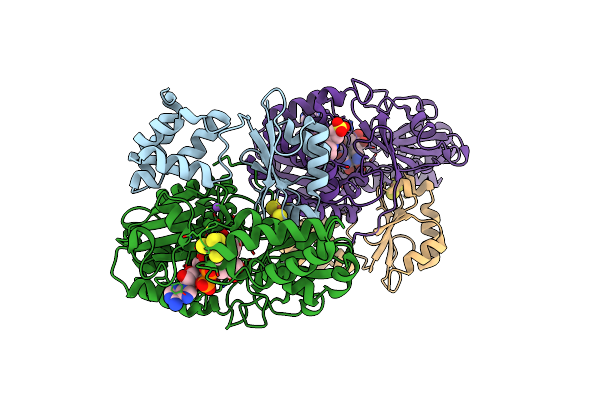 6HLA image