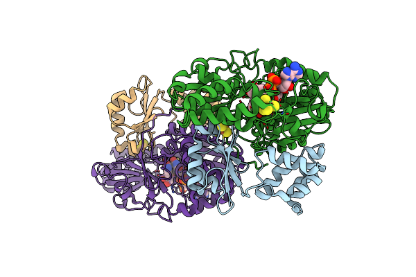 6HLI image