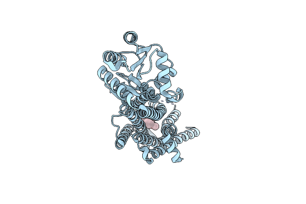 6HLL image