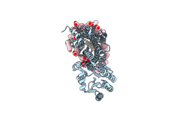 6HLO image