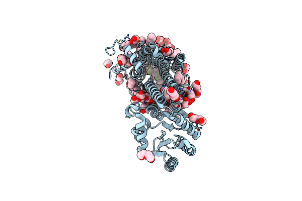 6HLP image