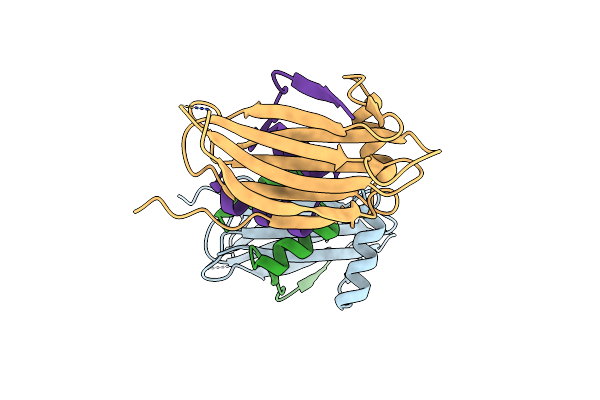 6HLT image