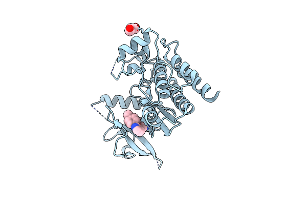 6HM6 image