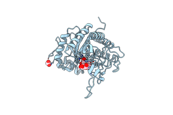 6HMG image