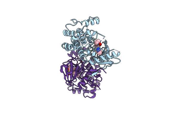 6HMX image