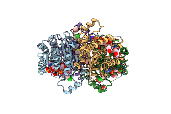 6HNC image