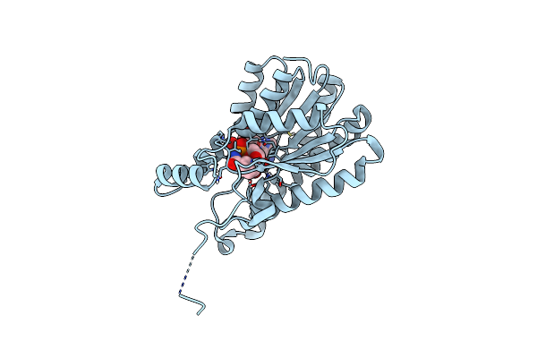 6HNO image