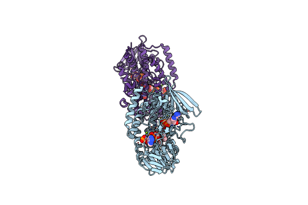 6HNS image
