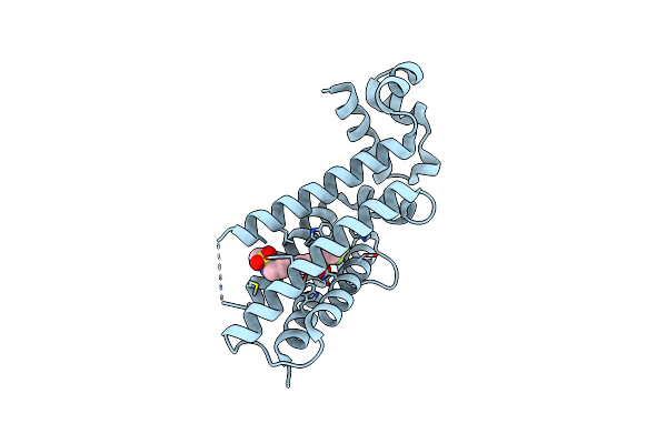 6HO6 image