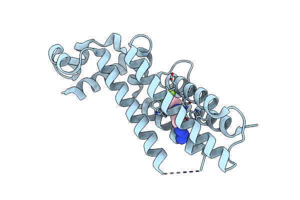 6HOC image