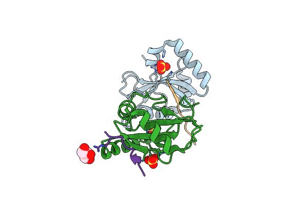 6HOL image