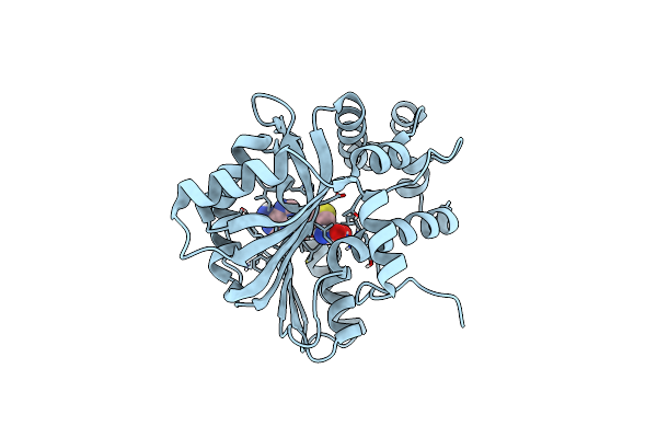 6HP2 image