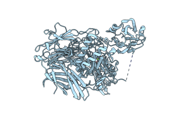 6HPD image