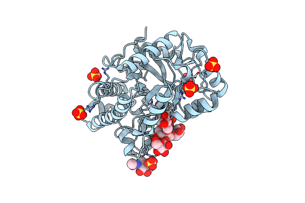 6HPF image