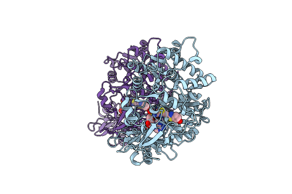 6HPS image