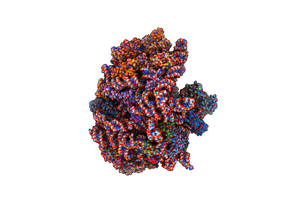 6HRM image