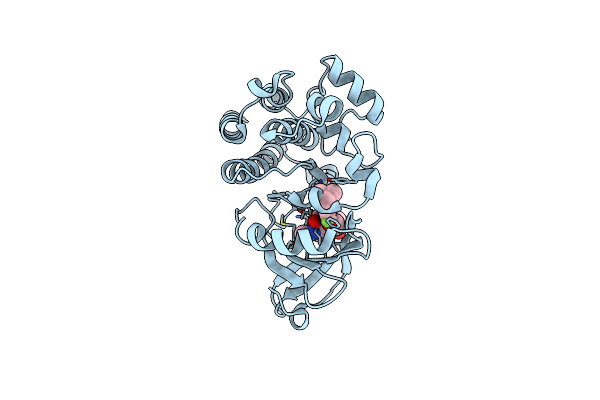 6HRP image