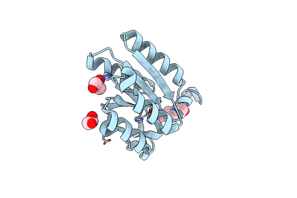 6HSB image