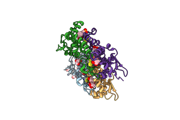 6HSD image