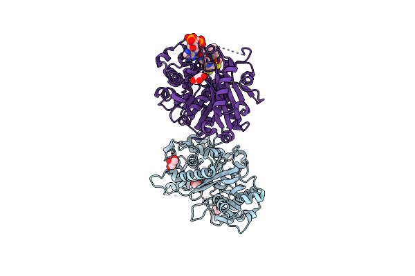 6HSP image