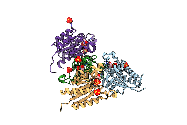 6HSR image