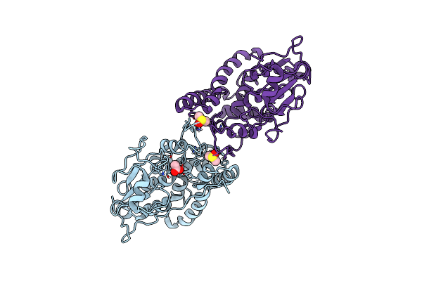 6HTA image