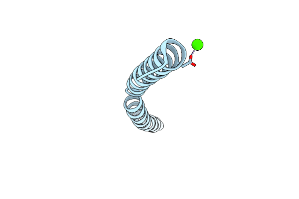6HTL image