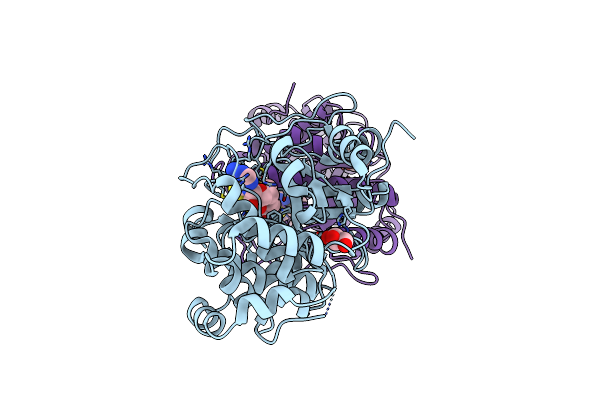 6HTO image