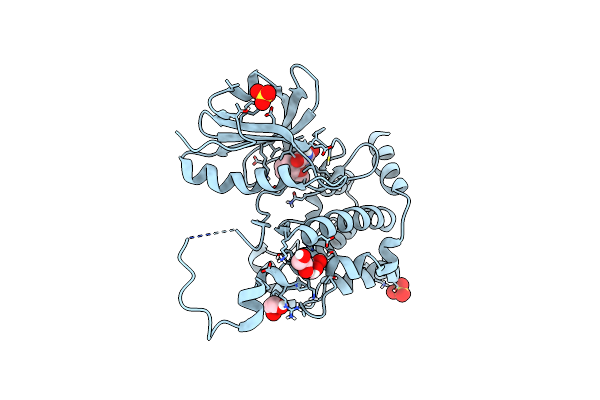 6HVD image